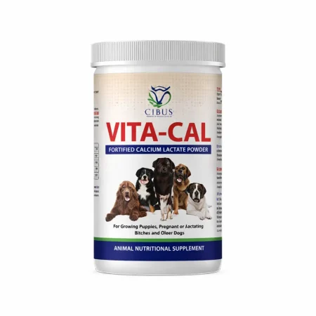 VITA-CAL FORTIFIED CALCIUM LACTATE POWDER